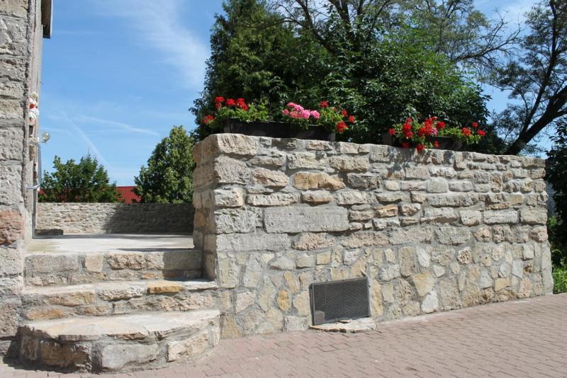 Ruhige Ferienwohnung Im Gutshaus Niederorschel Екстериор снимка